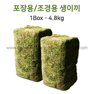 생이끼 A급(1box/4.8kg)